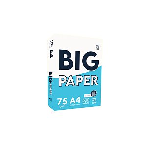 Papel A4 210x297mm Big Paper C/500