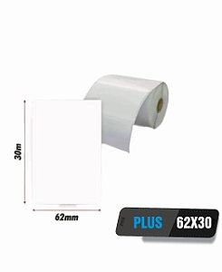 100 Rolos de Etiqueta Contínua Térmica PLUS 62mm x 30 metros de comprimento Zebra Argox Elgin