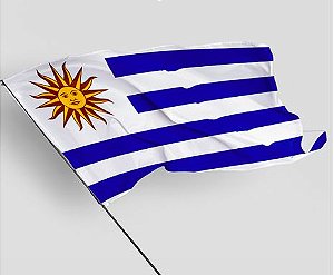 Bandeira Torcedor Esporte Seleção Uruguai