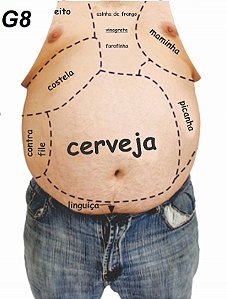 Avental do Churrasqueiro