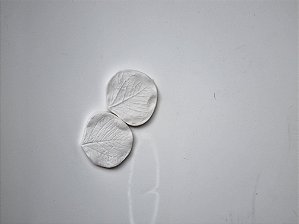 Marcador folha de eucalipto - M-004