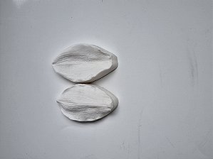 Marcador cymbidium - M-001