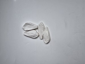 Marcador astromelia - M-002