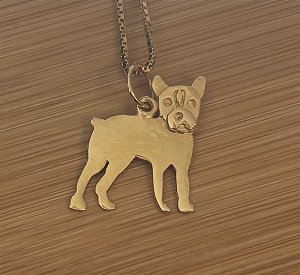 Boston Terrier