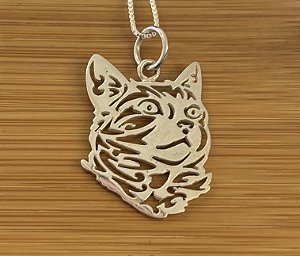 Gato