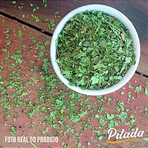 Coentro em Folhas