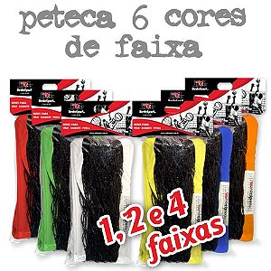 Rede para Quadra PETECA Oficial Preta - 7,60m (Faixas 6 Cores)