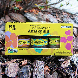 Caixa Presente - Mini Geleias da Amazônia