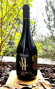 Touriga Nacional - Vinícola VIVALTI