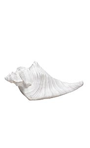 ENFEITE DE RESINA CARACOL MÉDIA BRANCO