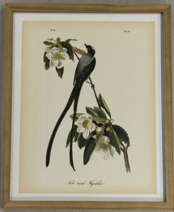 QUADRO GRAVURA FLYCATCHER E FLORES