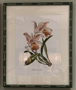 QUADRO GRAVURA ORQUÍDEA PINK COM MOLDURA EM BAMBU VERDE