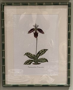 QUADRO GRAVURA ORQUÍDEA FOLHAS PINTADAS COM MOLDURA EM BAMBU VERDE