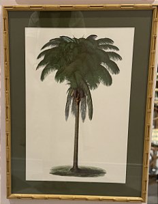 QUADRO GRAVURA PALM COM PASPATUR VERDE E MOLDURA BAMBU