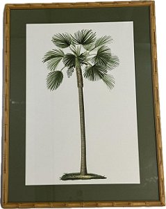 QUADRO GRAVURA PALM FAN II COM PASPATUR VERDE E MOLDURA BAMBU
