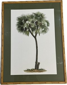 QUADRO GRAVURA PALM DAY COM PASPATUR VERDE E MOLDURA BAMBU