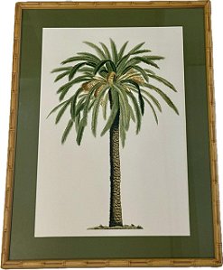 QUADRO GRAVURA PALM DAY II COM PASPATUR VERDE E MOLDURA BAMBU