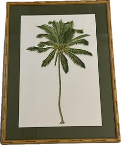QUADRO GRAVURA PALM COCONUT COM PASPATUR VERDE E MOLDURA BAMBU
