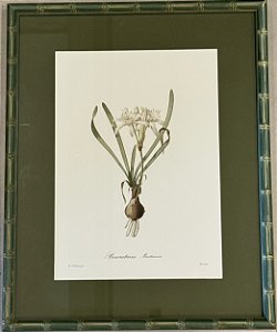 QUADRO GRAVURA FLORES COM PASPATUR VERDE E MOLDURA BAMBU VERDE