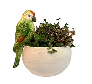 TRAVESSA / VASO P PÁSSARO VERDE CRISPIM