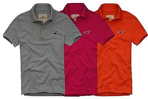 Polo Hollister