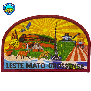 EMBLEMA DE CAMPO AVT - ASSOCIAÇÃO LESTE MATO-GROSSENSE - ALM