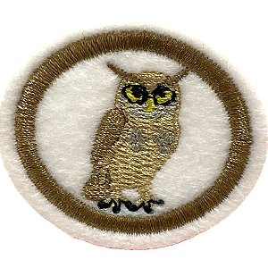 ESPECIALIDADE NATUREZA - ANIMAIS NOTURNOS