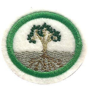 ESPECIALIDADE NATUREZA - FISIOLOGIA VEGETAL