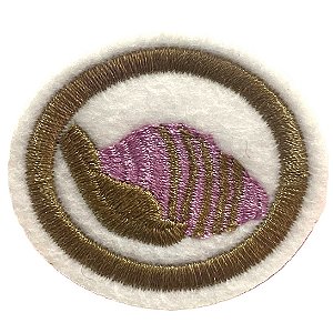 ESPECIALIDADE NATUREZA - MOLUSCOS