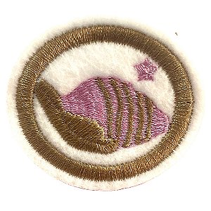 ESPECIALIDADE NATUREZA - MOLUSCOS - AVANÇADO