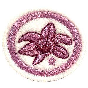 ESPECIALIDADE NATUREZA - ORQUÍDEAS AVANÇADO