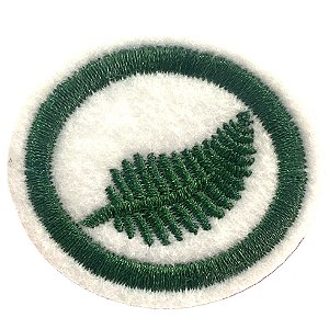 ESPECIALIDADE NATUREZA - SAMAMBAIAS