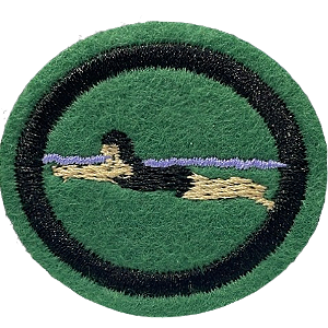 ESPECIALIDADE RECREATIVAS - NATAÇÃO PRINCIPIANTE I