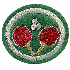 ESPECIALIDADE RECREATIVAS - TENIS DE MESA