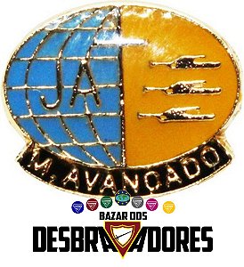 DISTINTIVO JA - LÍDER MASTER AVANÇADO - LJ3