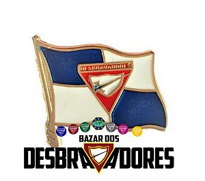 DISTINTIVO - PIN BANDEIRA DESBRAVADORES