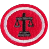 ESPECIALIDADE PROFISSIONAIS - NOÇÕES DE DIREITO