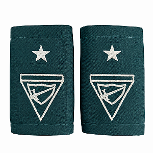 GALÃO DBV - EX DIRETOR (a)