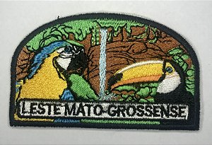 Emblema de Campo Antigo - LESTE MATO-GROSSENSE 2ª e 3ª Geração 
