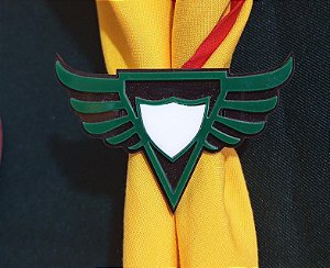 PRENDEDOR ACRÍLICO DBV ASAS-VERDE