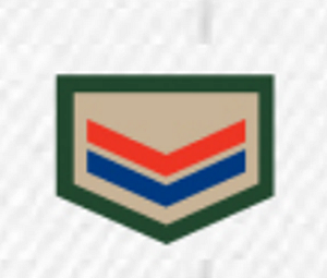 DIVISA CLASSE CAQUI AGRUPADA - COMPANHEIRO