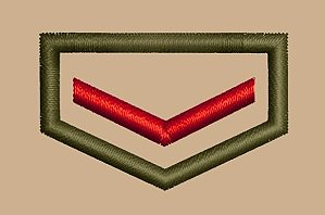 DIVISA CLASSE CAQUI INDIVIDUAL - COMPANHEIRO