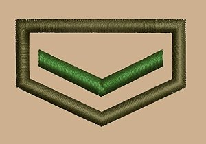 DIVISA CLASSE CAQUI INDIVIDUAL – PESQUISADOR