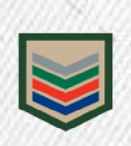 DIVISA CLASSE CAQUI AGRUPADA – PIONEIRO