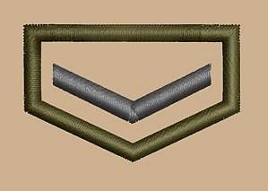 DIVISA CLASSE CAQUI INDIVIDUAL – PIONEIRO