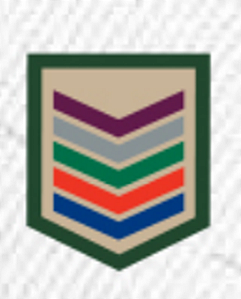 DIVISA CLASSE CAQUI AGRUPADA – EXCURSIONISTA