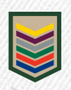 DIVISA CLASSE CAQUI AGRUPADA – GUIA