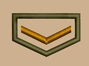 DIVISA CLASSE CAQUI INDIVIDUAL – GUIA