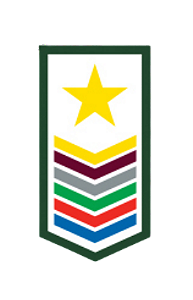 DIVISA DE CLASSE DE LIDER DBV