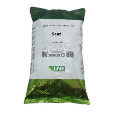 Saaz 4,3% A.A. - Kg